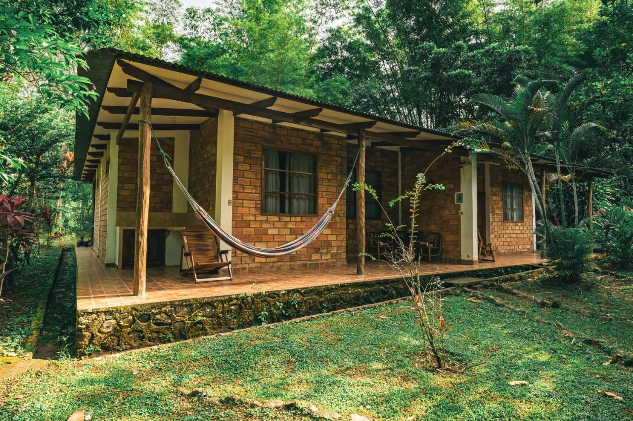 Huingos Eco Lodge タラポト エクステリア 写真