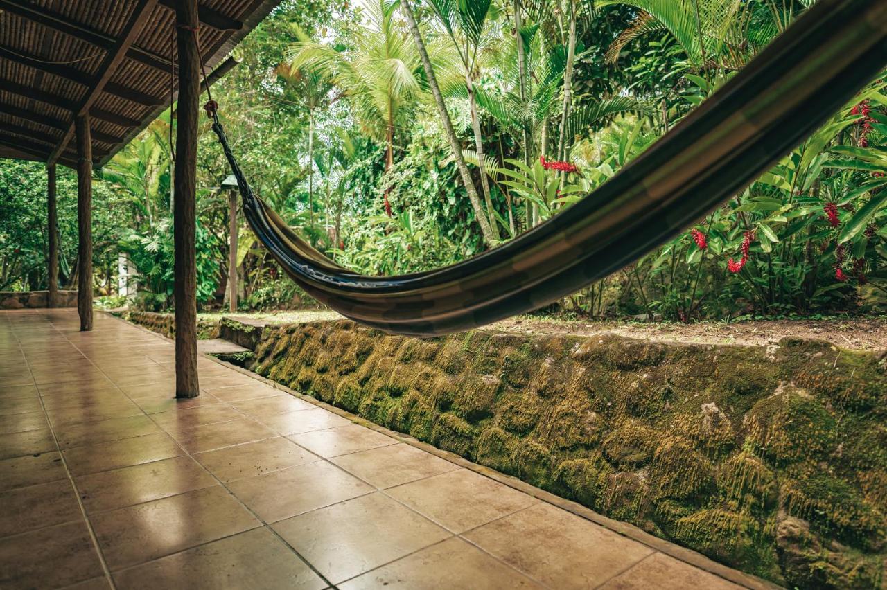 Huingos Eco Lodge タラポト エクステリア 写真