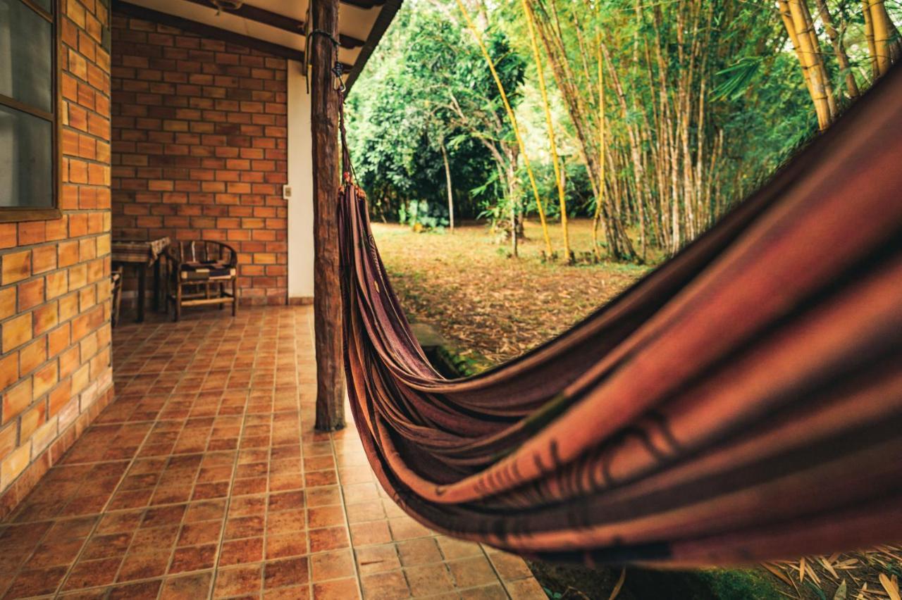Huingos Eco Lodge タラポト エクステリア 写真