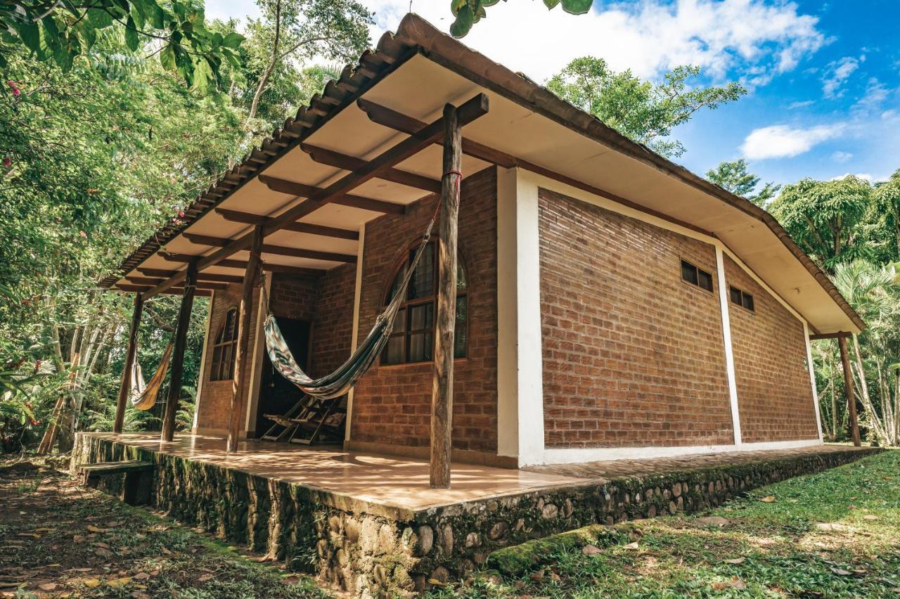 Huingos Eco Lodge タラポト エクステリア 写真