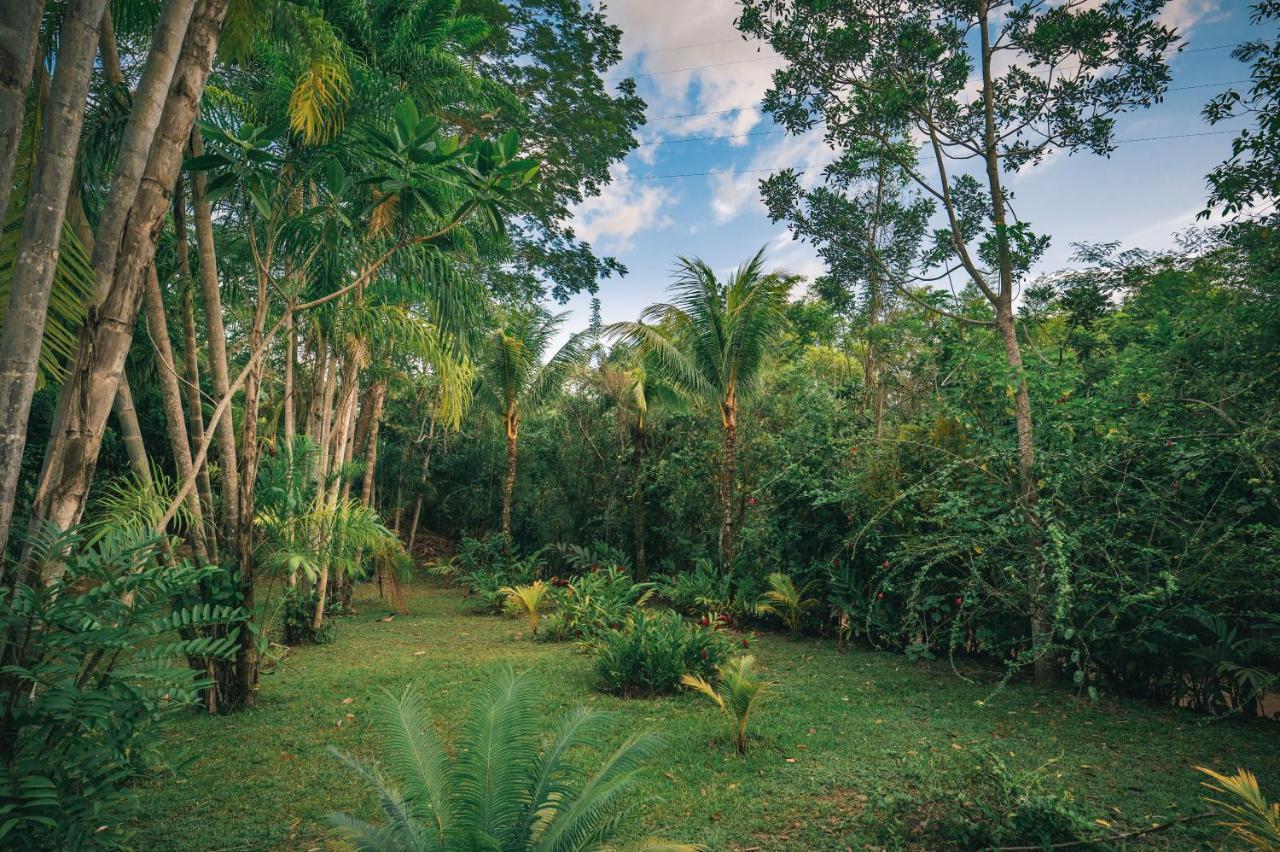 Huingos Eco Lodge タラポト エクステリア 写真