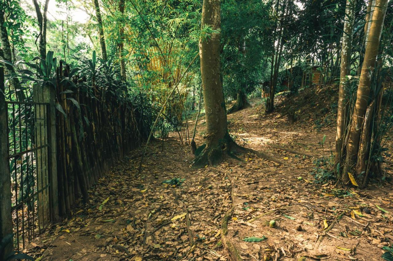 Huingos Eco Lodge タラポト エクステリア 写真