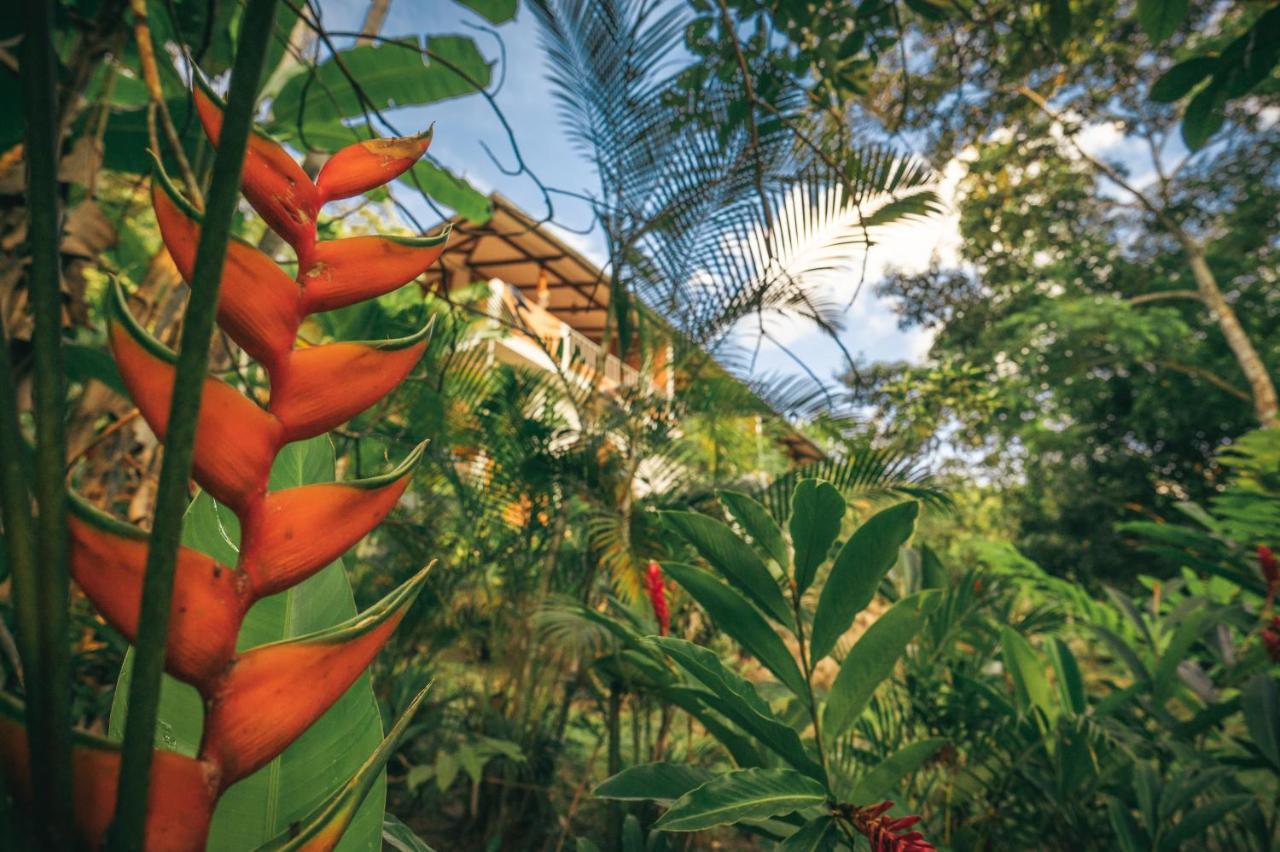 Huingos Eco Lodge タラポト エクステリア 写真