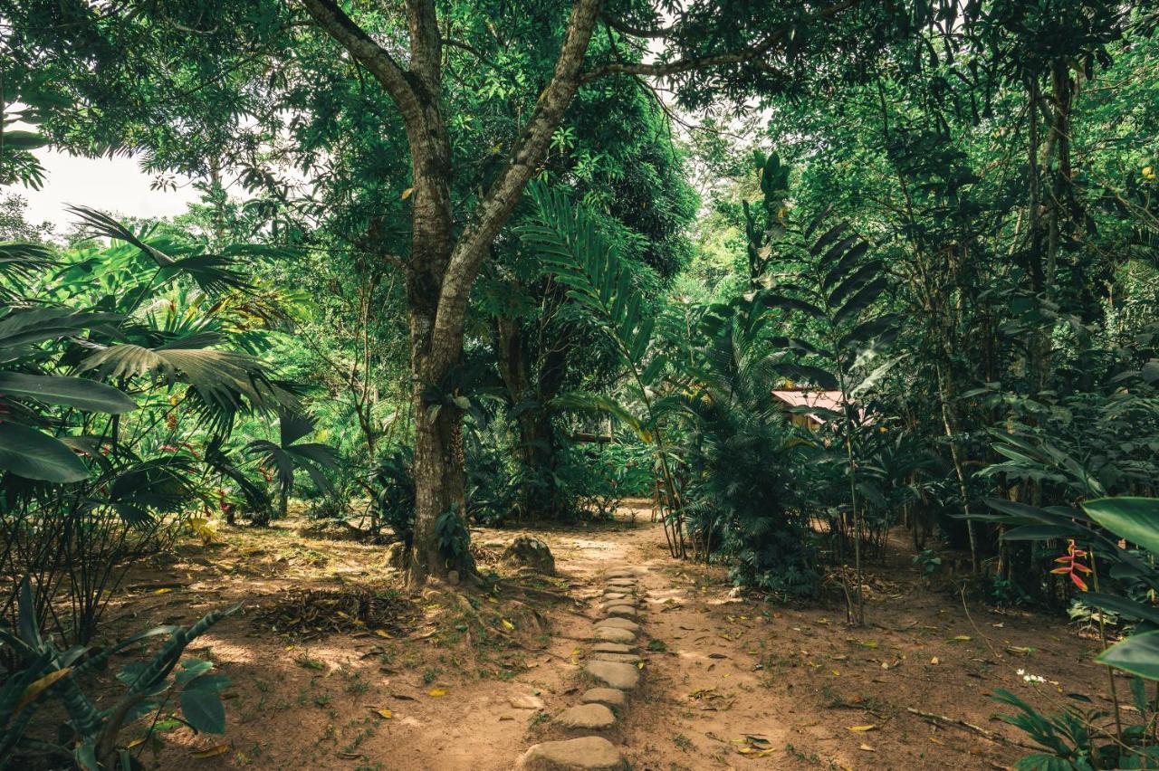 Huingos Eco Lodge タラポト エクステリア 写真