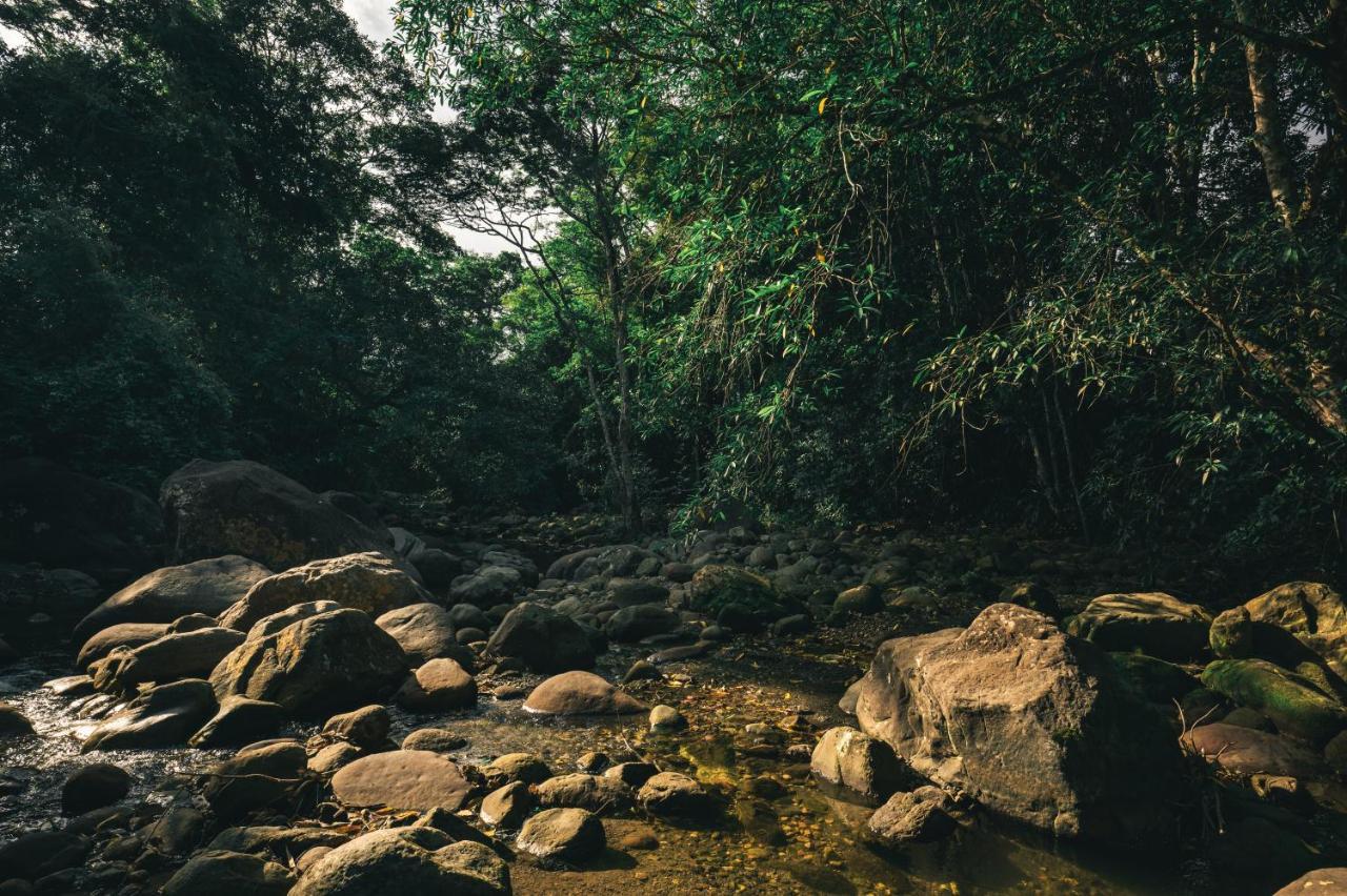 Huingos Eco Lodge タラポト エクステリア 写真