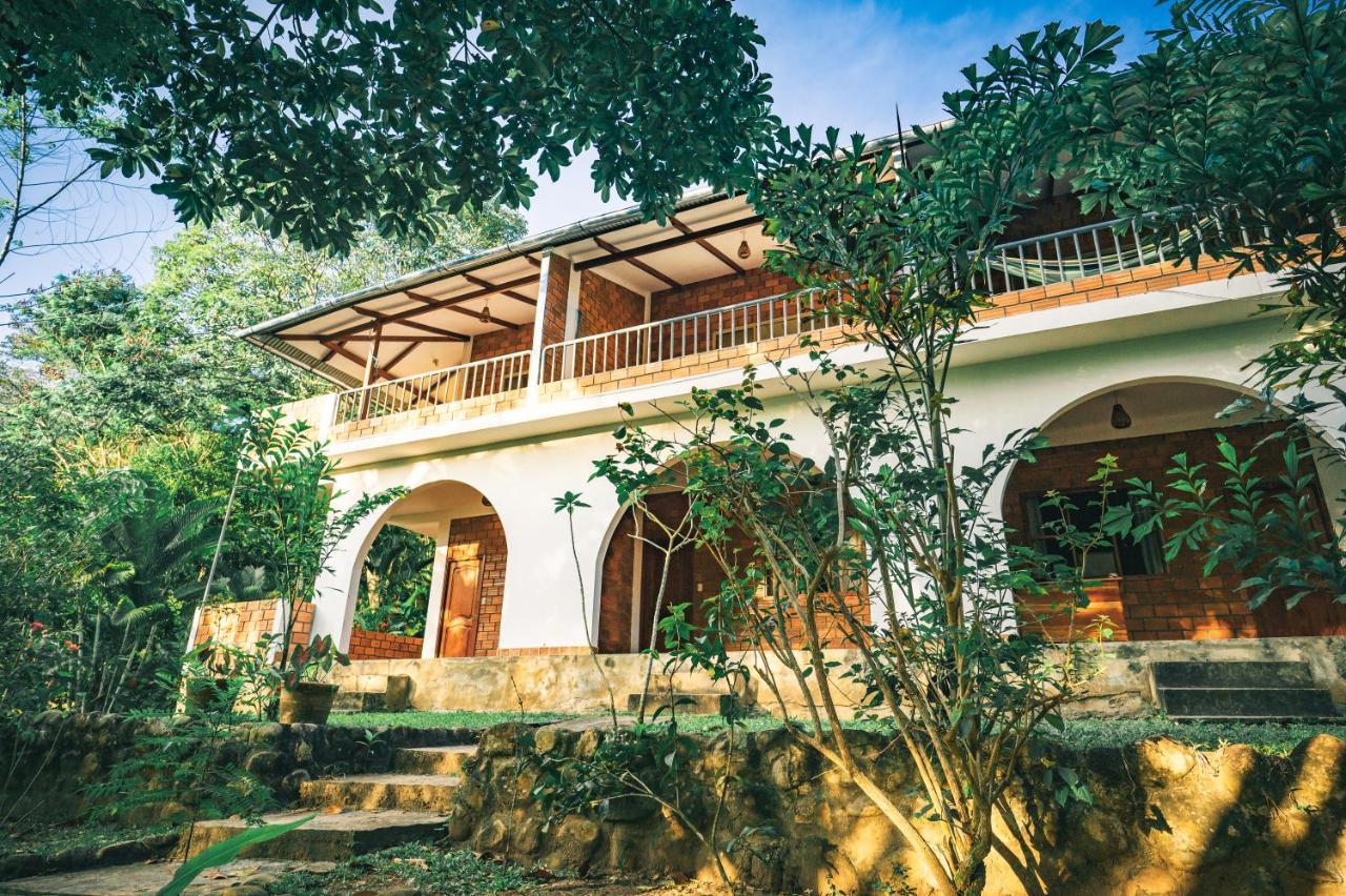Huingos Eco Lodge タラポト エクステリア 写真