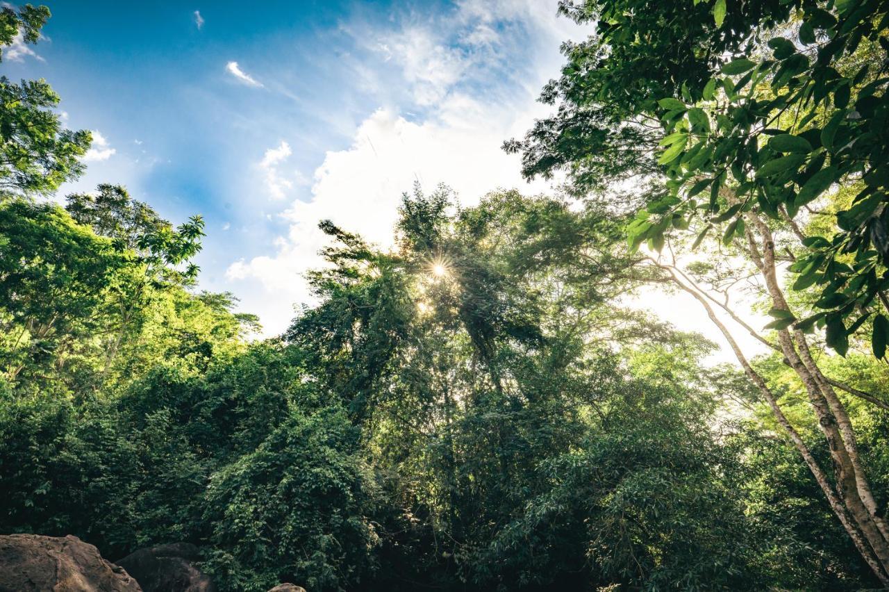 Huingos Eco Lodge タラポト エクステリア 写真