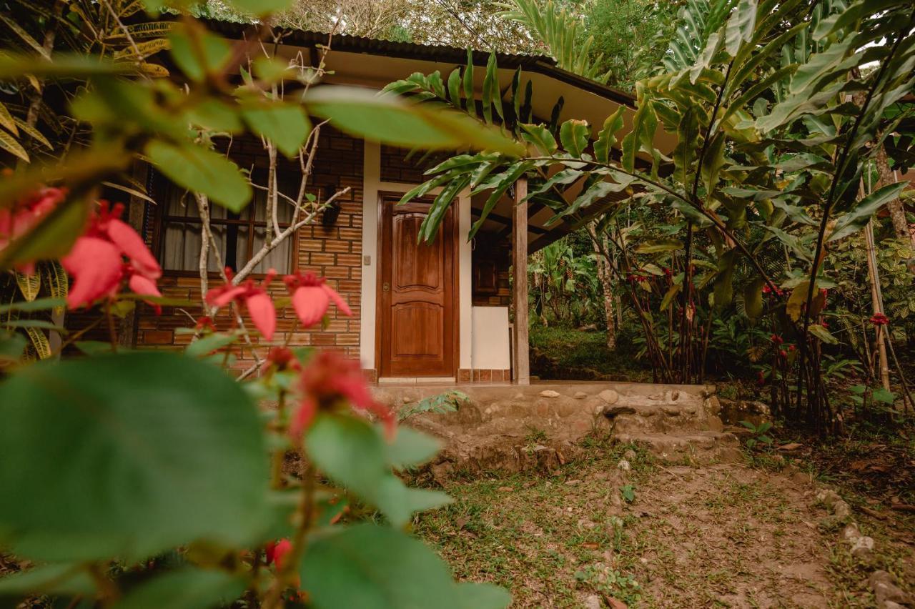 Huingos Eco Lodge タラポト エクステリア 写真