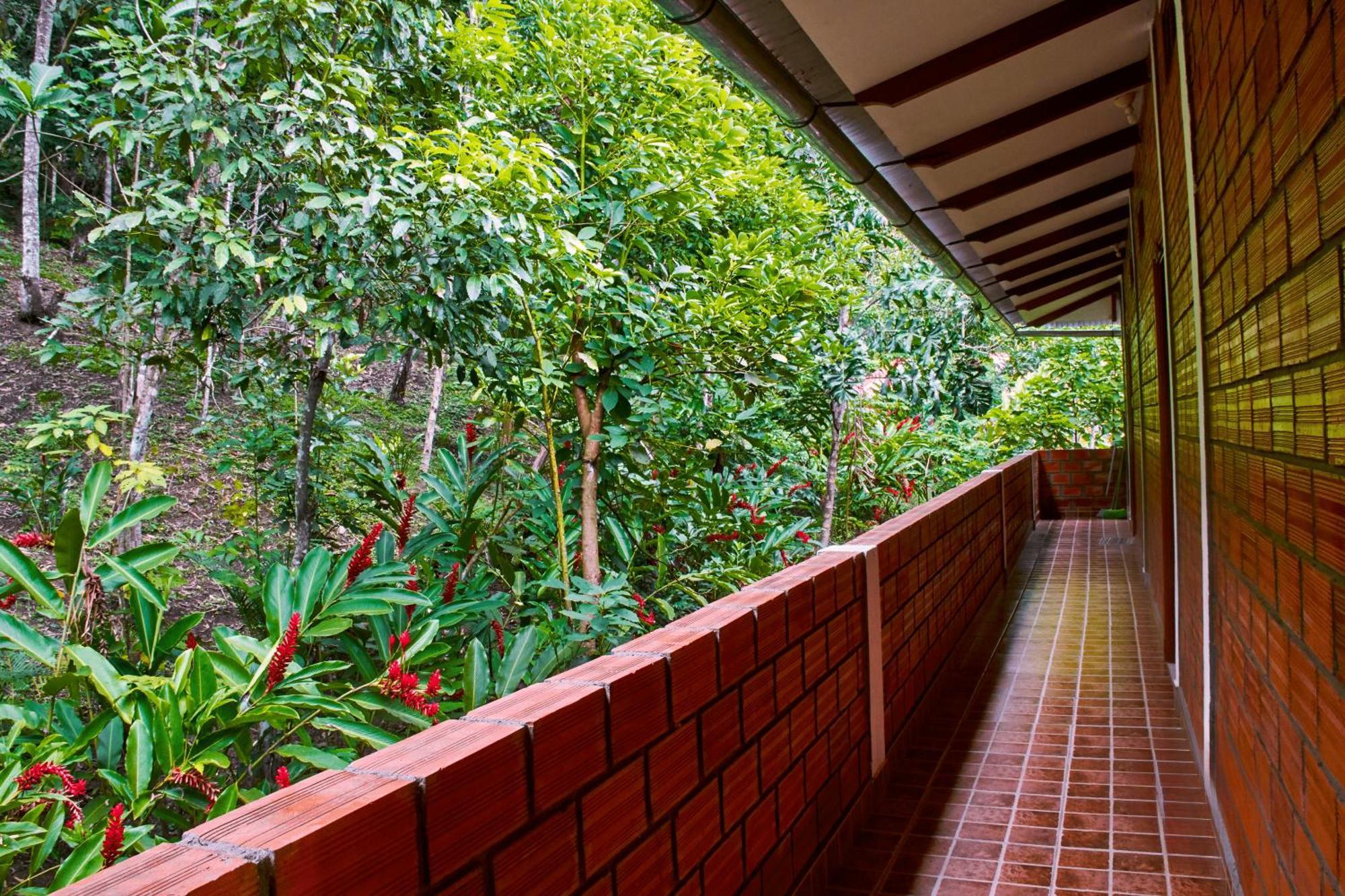 Huingos Eco Lodge タラポト エクステリア 写真
