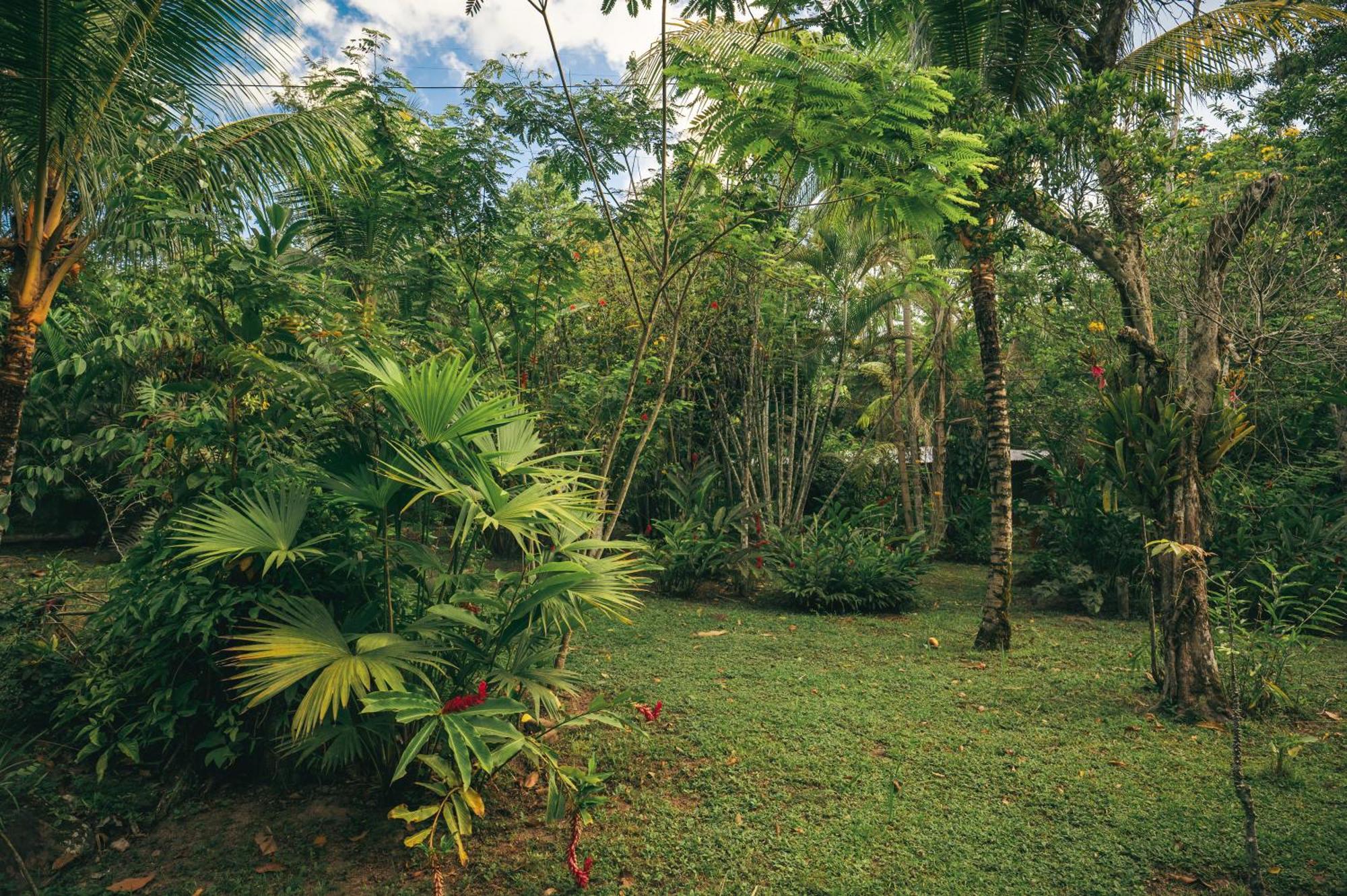 Huingos Eco Lodge タラポト エクステリア 写真