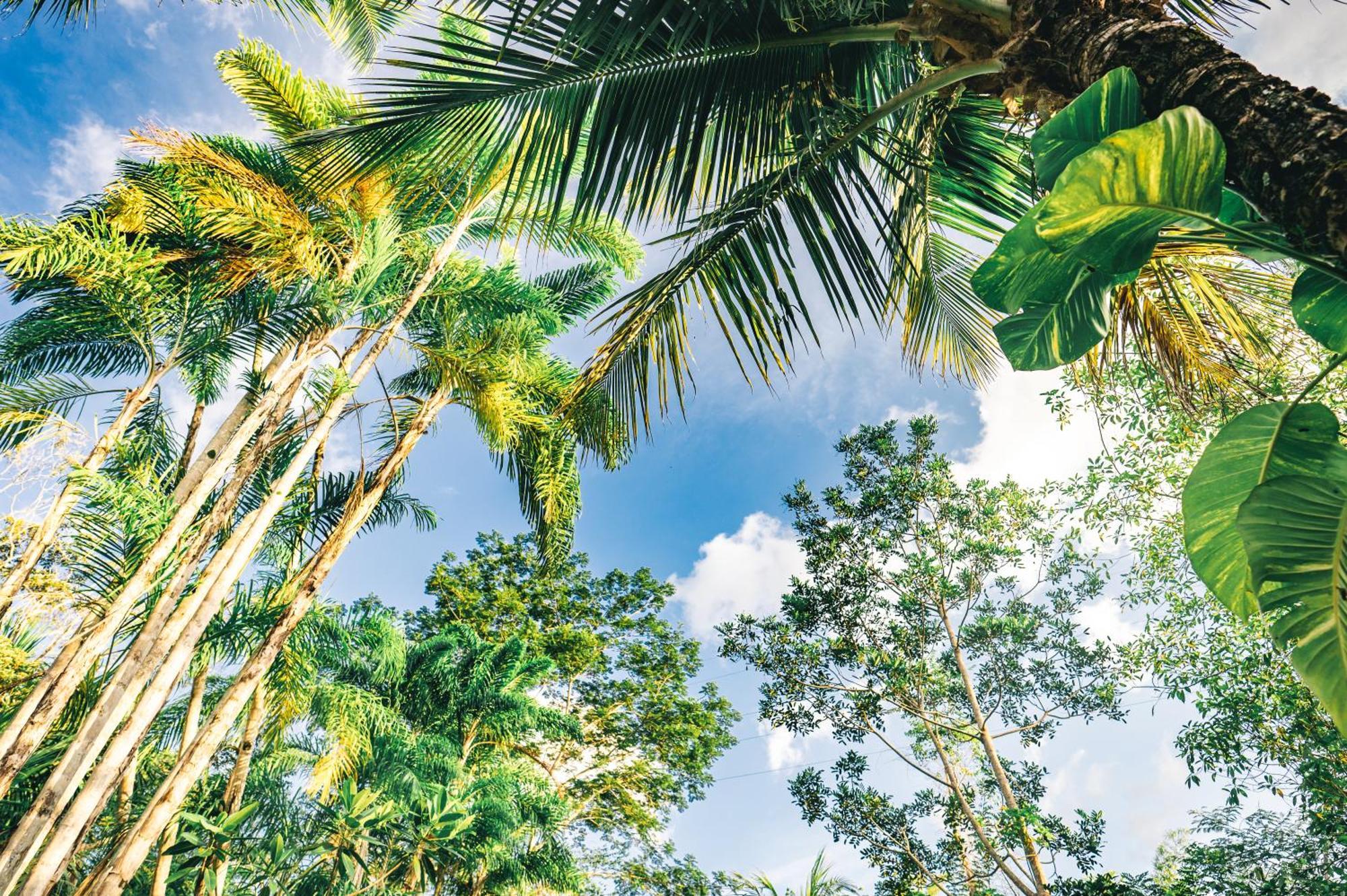 Huingos Eco Lodge タラポト 部屋 写真