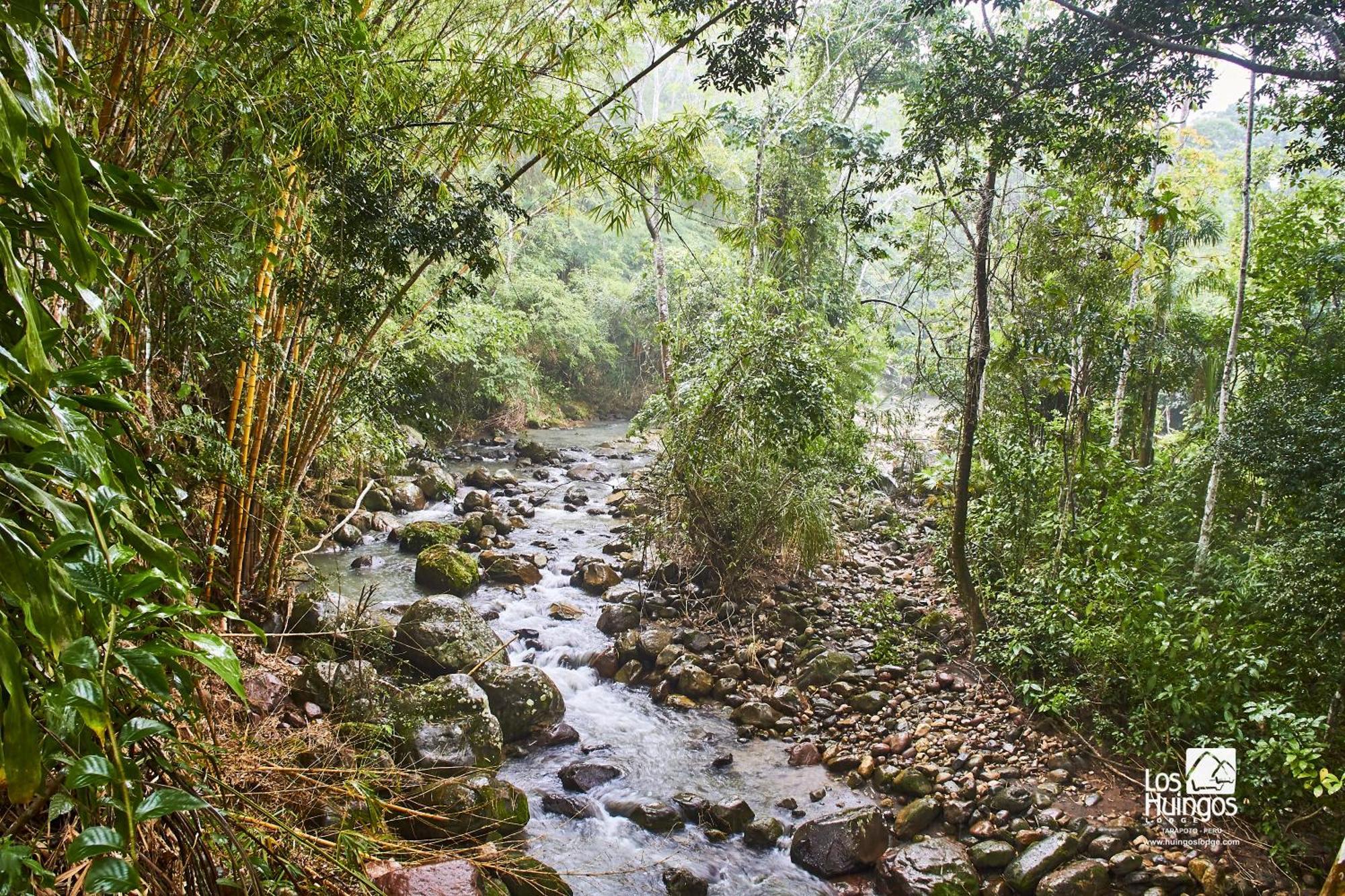 Huingos Eco Lodge タラポト エクステリア 写真